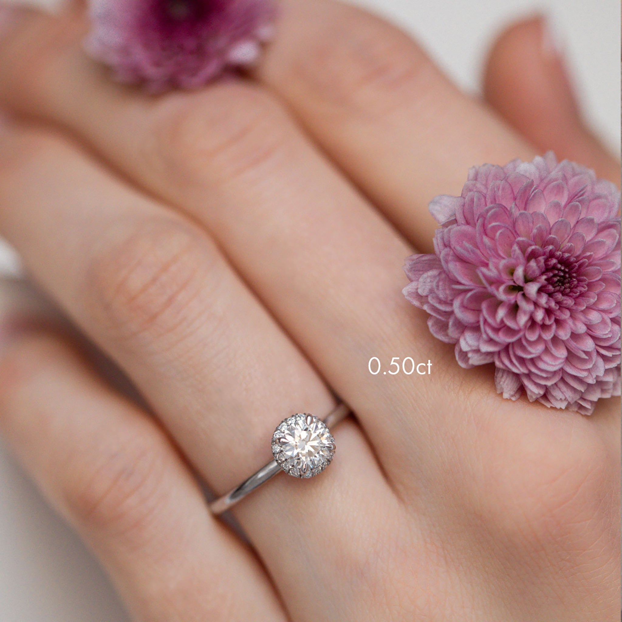 Siro Halo Briljantti timanttisormus valkokulta