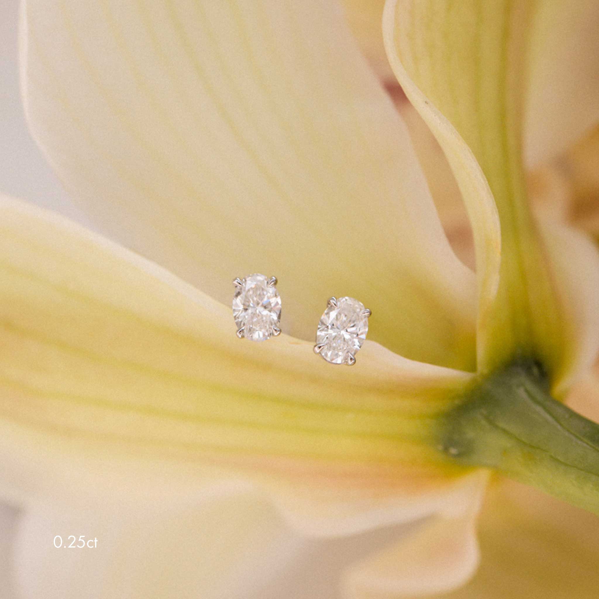 Soli Oval earrings